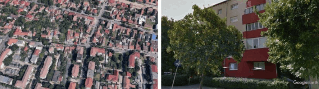 expertiza mlpat pentru timisoara